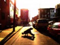 /album/hustohadry-cz/street-love-by-epik-guy-jpg/